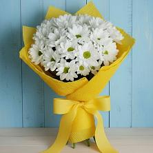 Букет цветов из:  Хризантемы в Ботлихе