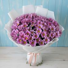 Букет цветов из:  Хризантемы в Ботлихе