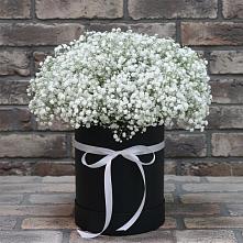 Цветочная композиция из Гипсофила в шляпной коробке в Ботлихе