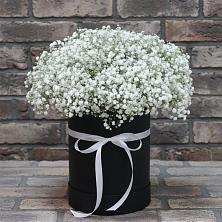 Цветочная композиция из Гипсофила в шляпной коробке в Ботлихе