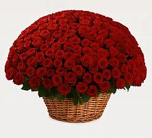 Премиум букет из: Розы в Ботлихе