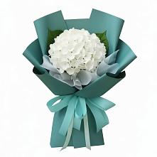 Букет цветов из:  Гортензия в Ботлихе